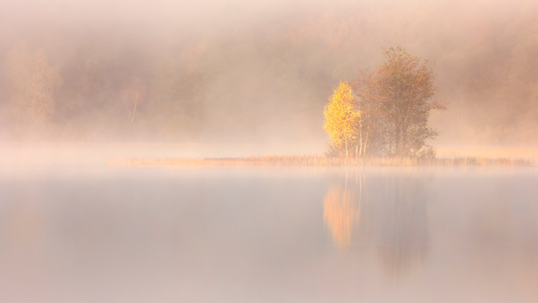 The Gratitude-Growth Connection: Why Gratitude Fuels Real Change