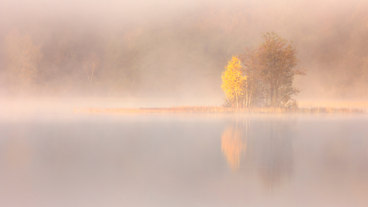 The Gratitude-Growth Connection: Why Gratitude Fuels Real Change