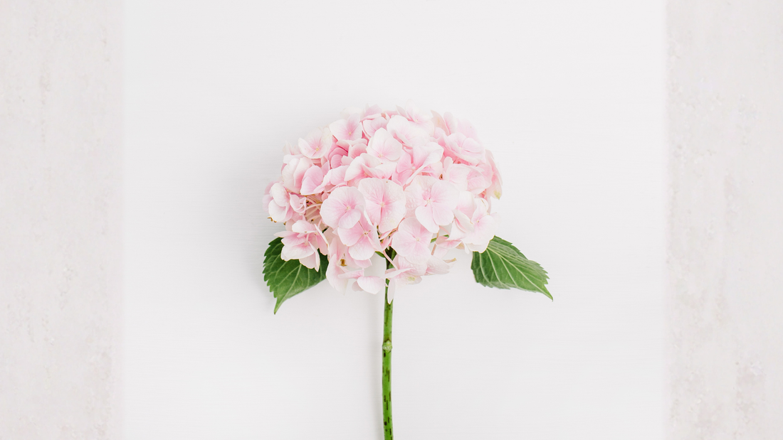 When “I Have To” Takes Over: A Simple Gratitude Reset for Real Life
